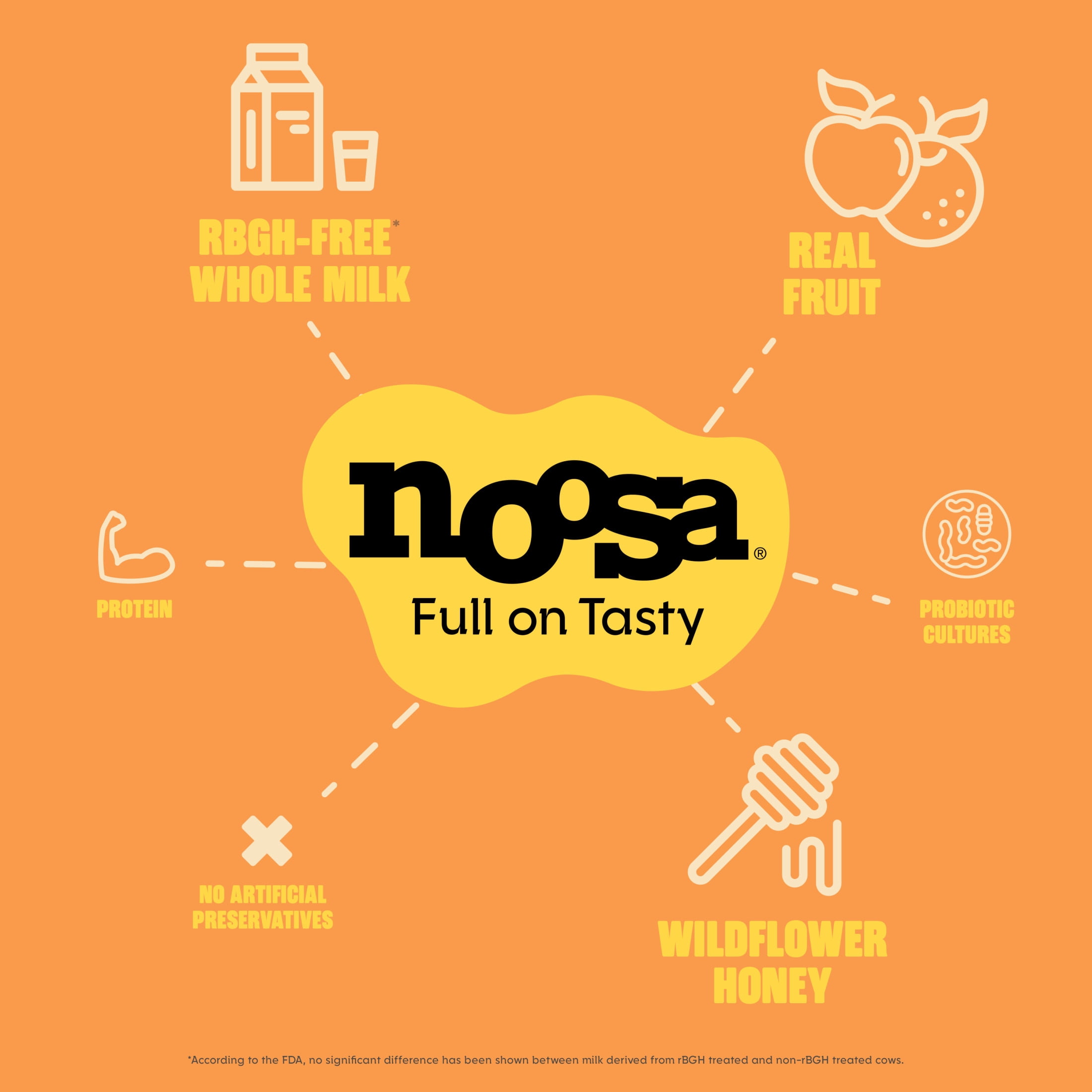 Noosa Yoghurt, Whole Milk Yogurt, Velvety Smooth & Creamy, Pumpkin, 8 oz Tub