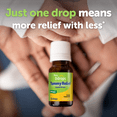 thumbnail image 6 of Baby Ddrops Gripe Water for Babies, Liquid Organic Tummy Relief, 0.12 fl oz, 6 of 9