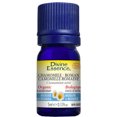 thumbnail image 4 of DIVINE ESSENCE Chamomile - Roman (Organic - 5 ml), 4 of 5