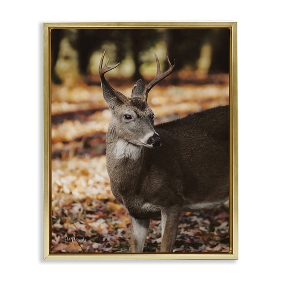 Stupell Industries Farmhouse Deer in Fall Foliage Gold Floating Frame Canvas Art, 17 x 21, by Dakota Diener