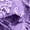 Purple, variant on GTEYOIJN Thin Zip Up Hoodie Women Womens Floral Lace Hoodie Elegant Pullover Sweatshirt Soft Fleece Oversized Fall Winter Athleisure Streetwear