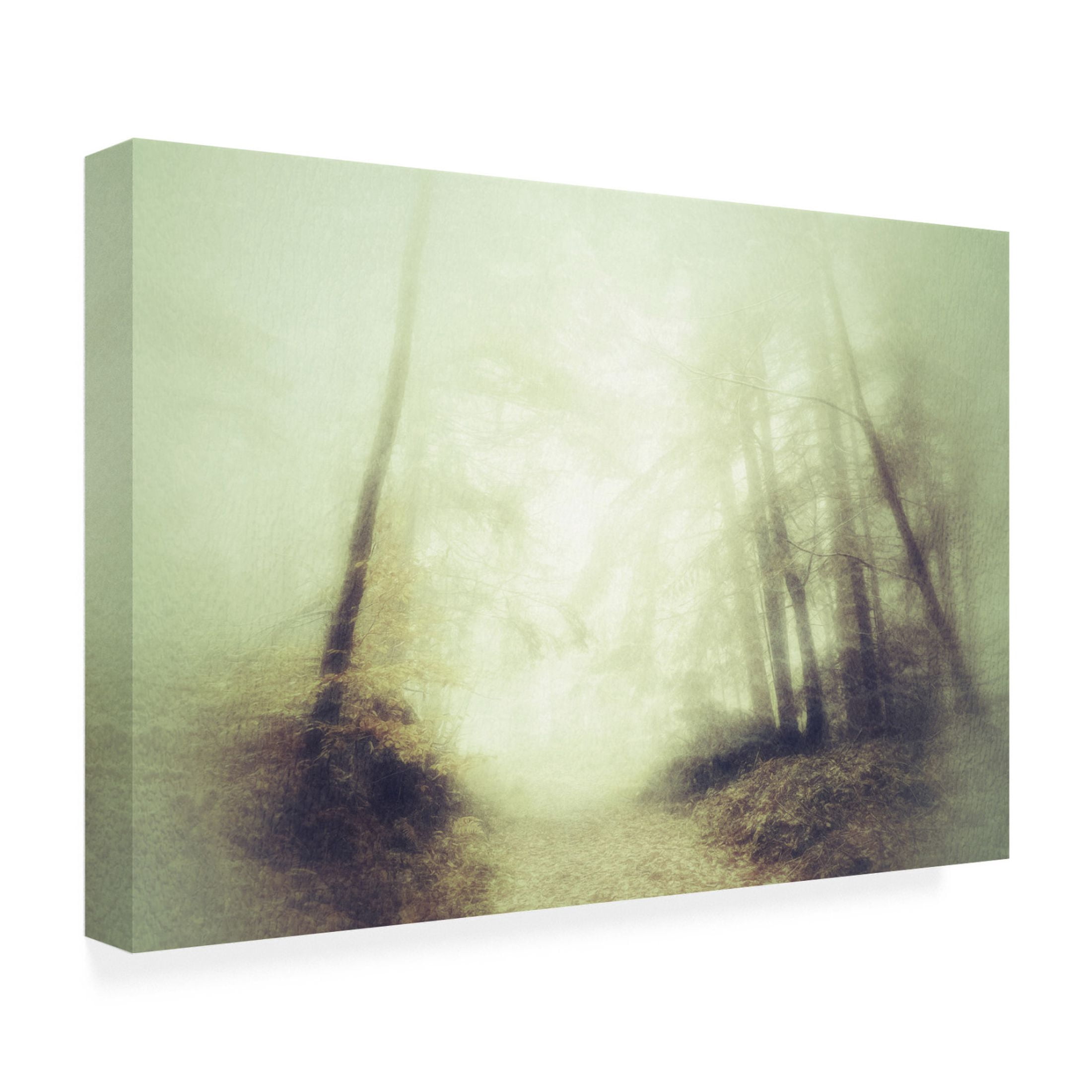 Trademark Fine Art Ludmila Shumilova  Remembering Canvas Wall Art