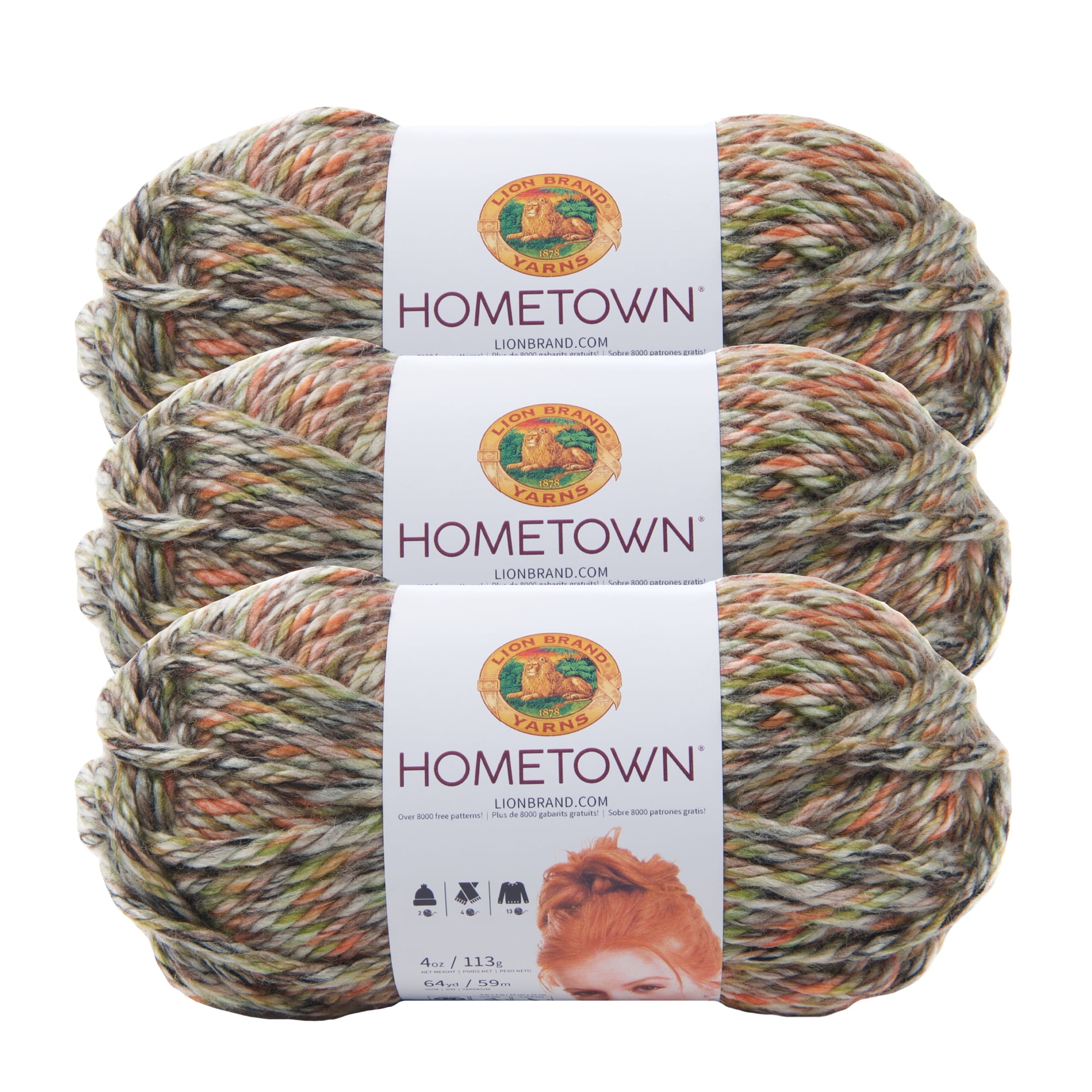 Lion Brand Yarn Hometown Durham Woods Basic Super Bulky Acrylic Multi