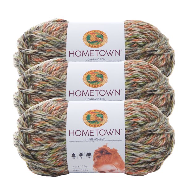 Lion Brand Yarn Hometown Durham Woods Basic Super Bulky Acrylic Multi