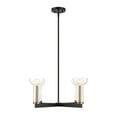 thumbnail image 5 of Designers Fountain Nova 25 inch 4-Light Matte Black Modern Chandelier with Clear Seedy Glass Shades, D283C-4CH-MB, 5 of 7
