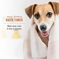 thumbnail image 5 of Rocco & Roxie Soothe Dog Oatmeal Shampoo for Dry Itchy Skin, Fortified with Natural Oils, 16 oz, 5 of 7