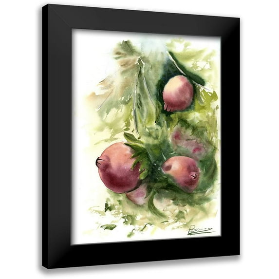 Shefranov, Olga 14x18 Black Modern Framed Museum Art Print Titled - Pomegranate