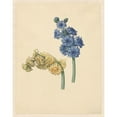 thumbnail image 2 of Maria Margaretha van Os 20x24 Gold Ornate Framed and Double Matted Museum Art Print Titled - Two Hyacinths (1823), 2 of 4