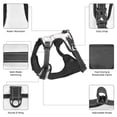 thumbnail image 3 of Vsdgher Rabbit Eating Pattern Dog Harness,No Pull Pet Harness with Soft Padded Handle,Adjustable Reflective Vest with 2 Buckles,4 Slide Buckles,S-XL Medium, 3 of 5