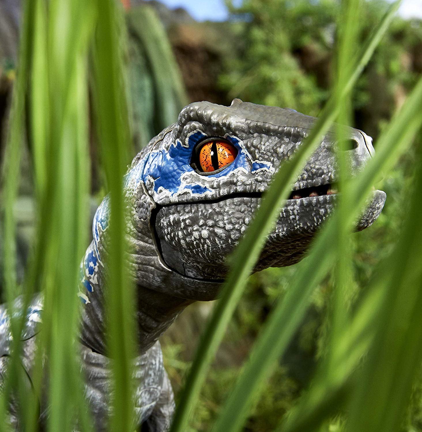 Jurassic World Alpha Training Blue Walmart Com Walmart Com Jurassic World Alpha Training Blue Walmart Com Walmart Com
