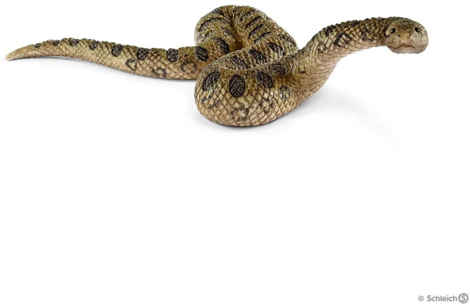 inflatable pool anaconda