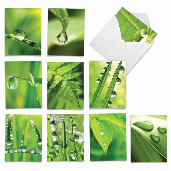 Pack of 10 All Occasion Blank Note Cards with Envelopes (4 x 5.12 Inch) - JUST DEW IT