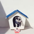thumbnail image 5 of Cuenco para perros de acero inoxidable, comedero para mascotas para perros y gatos, cuenco de alimentación con desmontable, 5 of 5