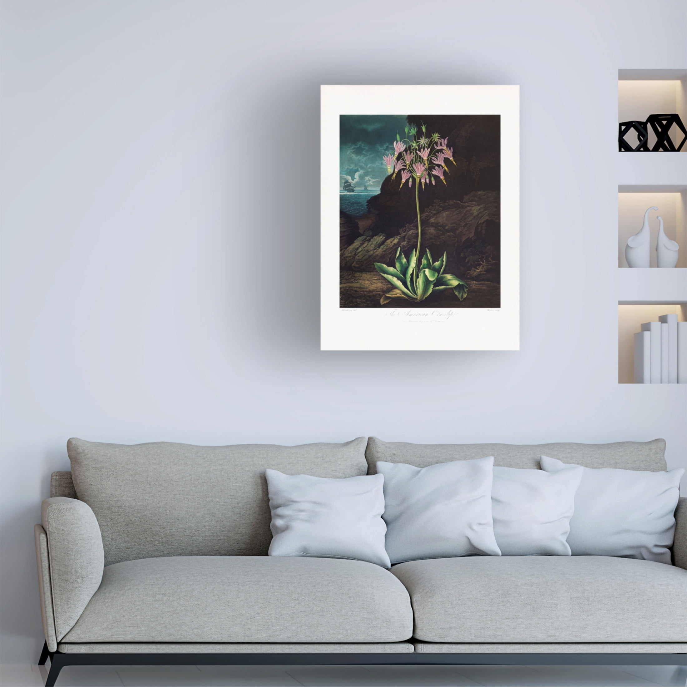 Trademark Fine Art Pictufy The American Cowslip from The Temple of Flora 1807 Canvas Wall Art