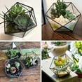 thumbnail image 2 of Gold Black Glass Geometric Terrarium Planter Pentagon Container Modern Decor, 2 of 10