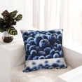 thumbnail image 6 of Pofeuu Blueberry Print Double-sided plush pillowcase Square Throw Pillow Covers Pillows Cover for Living Room Bedroom Sofa Couch Cushion Cover（No pillow core）-26"x26", 6 of 7