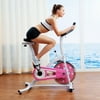 Sunny Health Fitness Sunny Health & Fitness P8100 Pink Indoor Cycling Bike