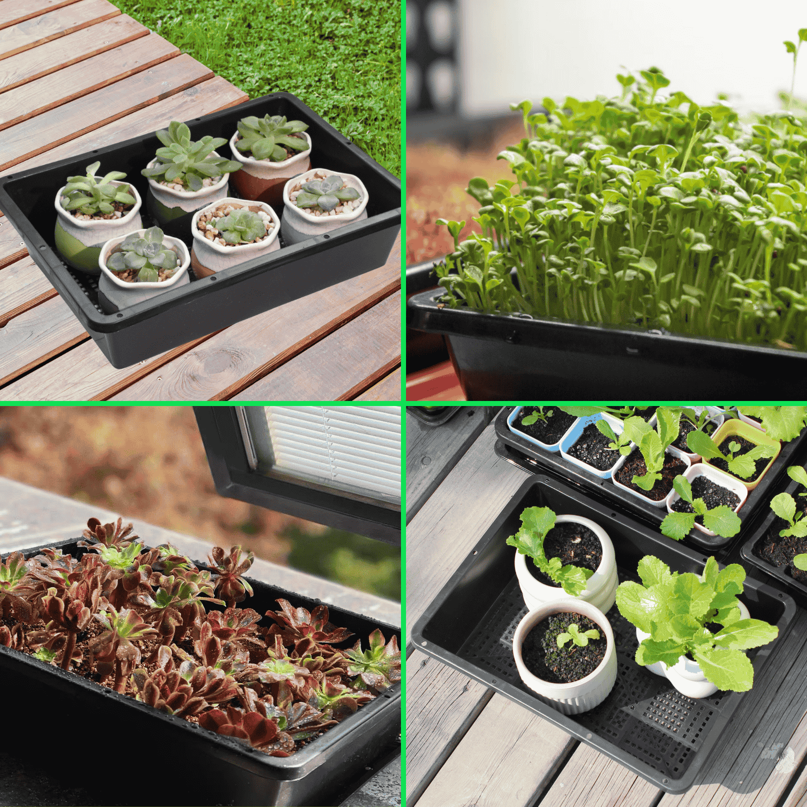 BeGrit Seedling Trays 5-Pack 15x12 inch Mesh Bottom Tray Plastic Plant Trays for Microgreens,Soil Blocks,Wheatgrass,Hydroponic and Fodder Systems
