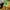 Green, variant on Rkxzt Leaf Scoop Hand Rakes,Gardening Tool for Leaf Collecting,Outdoor Defoliation,and Sorting Leaves for Yard Work