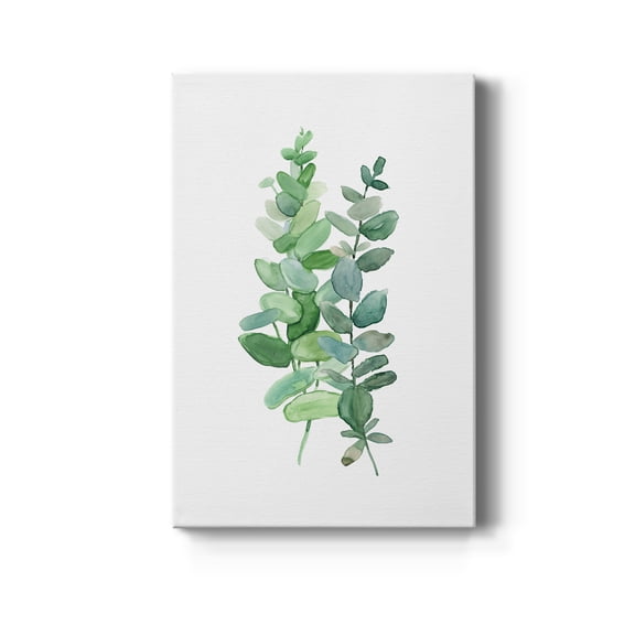 Eucalyptus II Premium Gallery Wrapped Canvas - Ready to Hang - 8 x 12