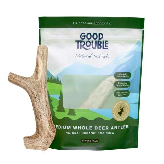 Medium Whole Premium Wild Deer Antler Bone for Dogs by Good Trouble Pets