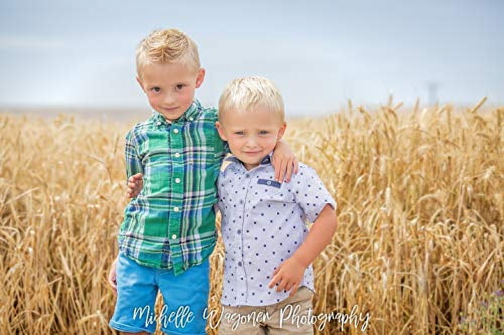 (New Harvest) Premium 100% Natural Wheat Straw Grass Harvested 2022, Farmer Direct- Excellent Animal Bedding, Garden Cover, Mulch and Farm Wheat Straw 5lbs. Straw Shipped
