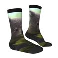 thumbnail image 4 of Yiaed Daisy Koala Print Great elasticity Crew Socks Sports socks for Men and Women, 4 of 5