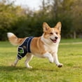 thumbnail image 5 of Adjustable Dog & Leg Brace, Support for Joint Pain, ACL Tear, Arthritis, Dysplasia, Injury Recovery Pet Leg Suppor, 5 of 5