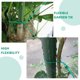 thumbnail image 4 of unbranded Ataduras Para Plantas Jardín Con Flexible De Hierro Y PVC Sujetar Ramas Y Enredaderas Fácil Uso, 4 of 6