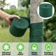 thumbnail image 2 of Envolturas protectoras para árboles: 65 pies resistentes al invierno para proteger el tronco de los árboles, arbustos, plantas, vendajes, envolturas protectoras para árboles para mantener el calor e hidratados, envolturas para árboles para proteger la corteza Rojo Verde, 2 of 5