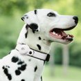 thumbnail image 1 of Durable PU Fabric Dog Collar, Adjustable For All Sizes, Fashionable Design With Quick Release Buckle, Added Security For Stylish Pets, 1 of 8