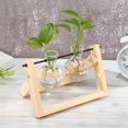 thumbnail image 1 of Florero de bulbo de terrario con soporte giratorio de madera 2 jarrones perfecl, 1 of 7
