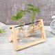 thumbnail image 1 of Florero de bulbo de terrario con soporte giratorio de madera 2 jarrones perfecl, 1 of 7