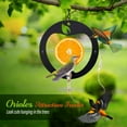 thumbnail image 4 of GiLiling Creative Oriole Bird Feeder for Outdoors, Unique Shape for Bird Feeding with Hanging Chain, Perfect for Window, Balcony, Porch, and Tree Installation, 4 of 7