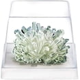 thumbnail image 4 of Combo de cultivo de cristal de lujo de 4 m de Science Kit para niños mayores de 10 años, 4 of 6