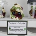 thumbnail image 2 of Adopta un Peluche de Marihuana, Tarro Divertidos Accesorios de Escritorio de Felpa B, 2 of 7