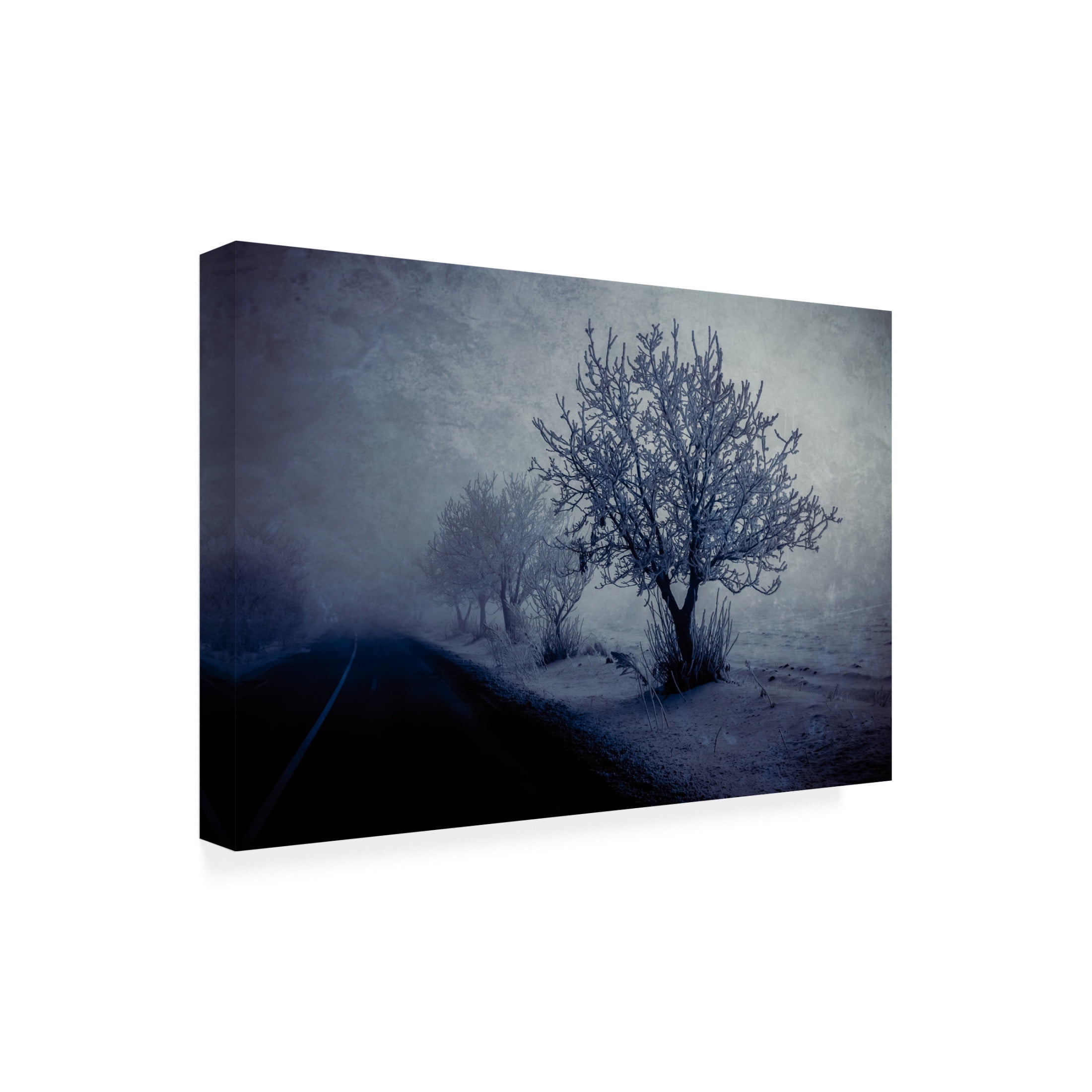Trademark Fine Art Farid Kazamil At night foggy Canvas Wall Art