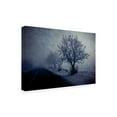 thumbnail image 4 of Trademark Fine Art Farid Kazamil At night foggy Canvas Wall Art, 4 of 4