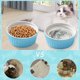 thumbnail image 4 of Laklulu 2 cuencos de cerámica para gatos, comedero para mascotas, cuenco de alimentación de comida y agua para gatitos y cachorros, 4 of 5