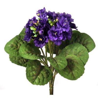 Silk African Violet Plant In Purple 12 Tall Silk African Violet Plant In Purple 12 Tall