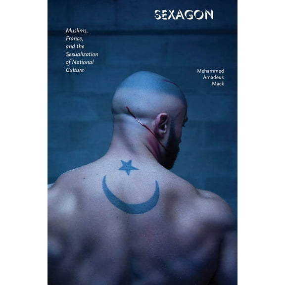 Sexagon: Muslims, France, and the Sexualization of National Culture (Hardcover)