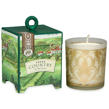Michel Design Works Fresh Country Candle Soy Clean Burning 40 Burn Time in Keepsake Box Fresh Green Meadoiw Scent