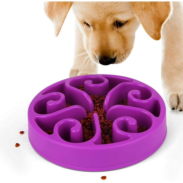 Dog feeders hot sale to slow eating