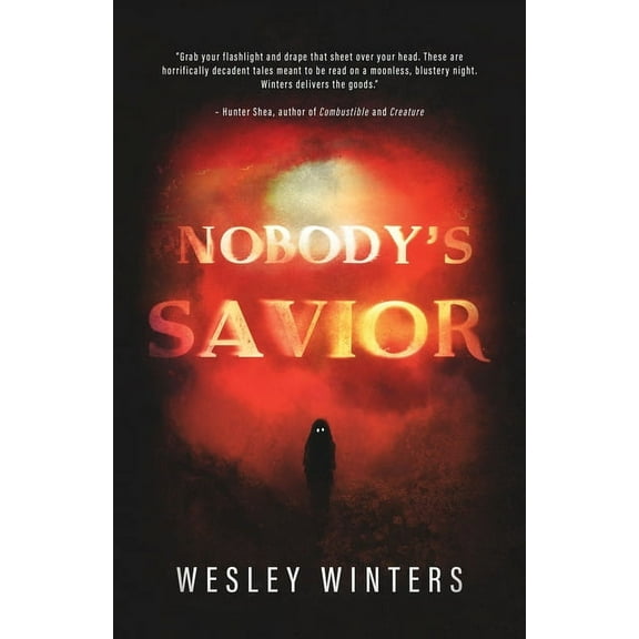 Nobody's Savior, (Paperback)