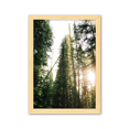 thumbnail image 1 of Luz verde ciencias forestales paisajes naturaleza Cuadro de madera decorativa marco de casa A4, 1 of 3