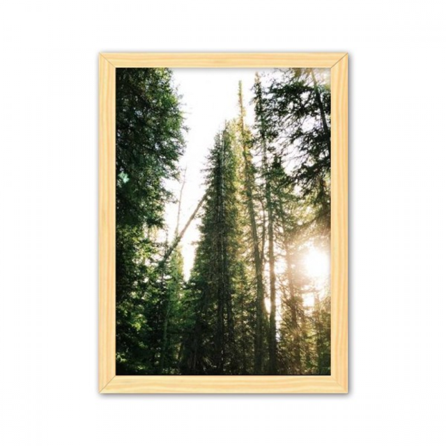 Luz verde ciencias forestales paisajes naturaleza Cuadro de madera decorativa marco de casa A4