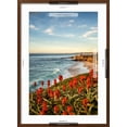 thumbnail image 5 of Art.com USA, California, La Jolla. Blooming aloe and Wipeout Beach Photographic Print by Ann Collins, Brown Frame Wall Art, 21" x 29", 5 of 5