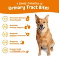 thumbnail image 3 of Zesty Paws Cranberry Bladder Bites Urinary Tract Support Chews for Dogs, 90 Soft Chews, 3 of 12