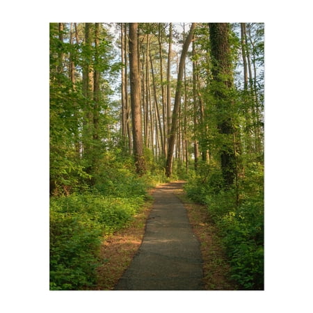 Marsh Edge Trail, Blackwater National Wildlife Refuge 02 - Maryland Photography Unframed Wall Art Print 8 x 10 inches