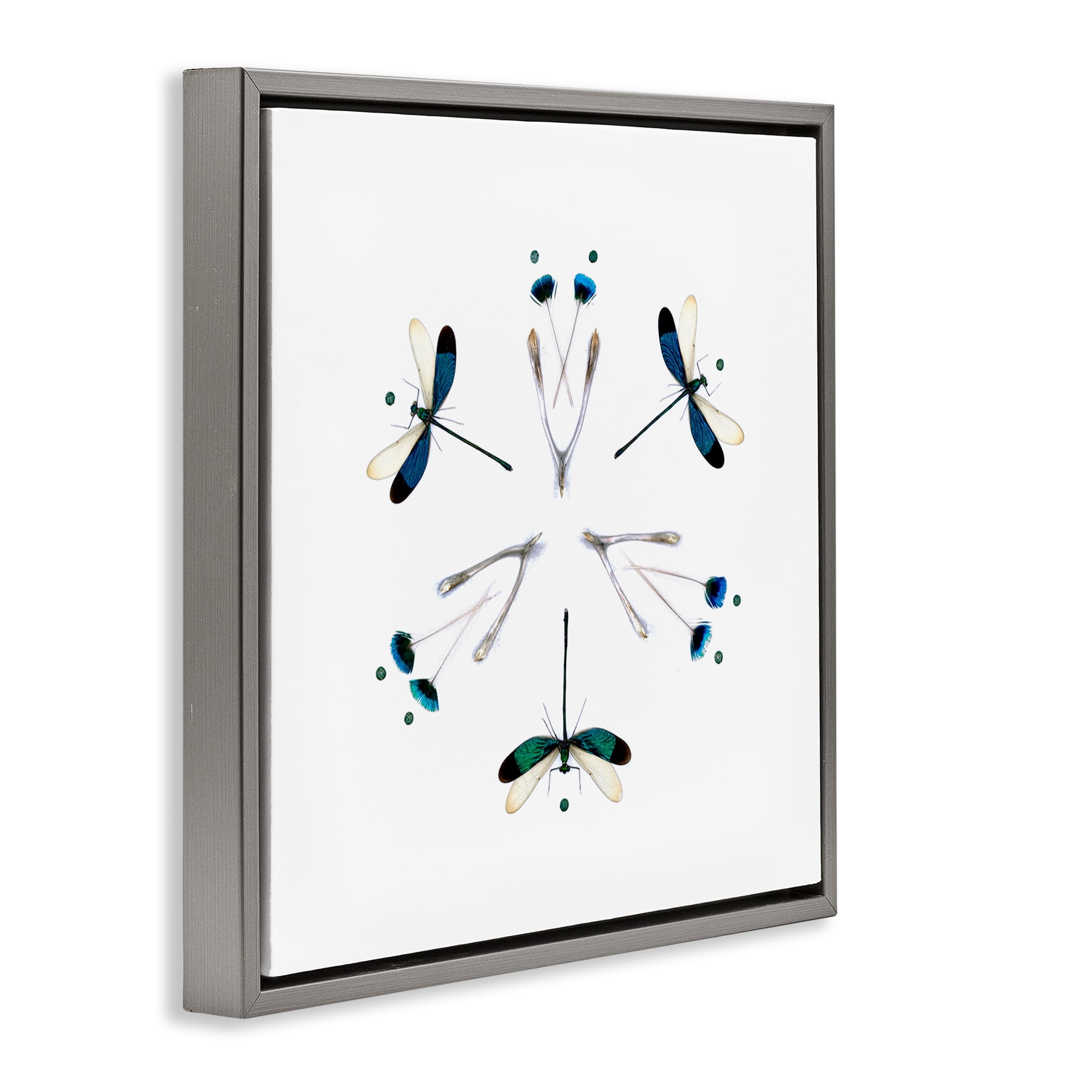 Stupell Industries Simple Dragonfly Symmetry Gray Framed Floater Canvas Wall Art, design by Beth Adoette